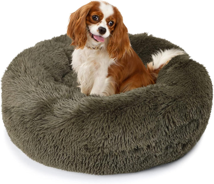 Small Calming Dogs Bed for Small Dogs Anti-Anxiety Machine Washable Fluffy Luxury Anti-Slip Waterproof Mute Base Warming Cozy Soft Pet Puppy round Bed