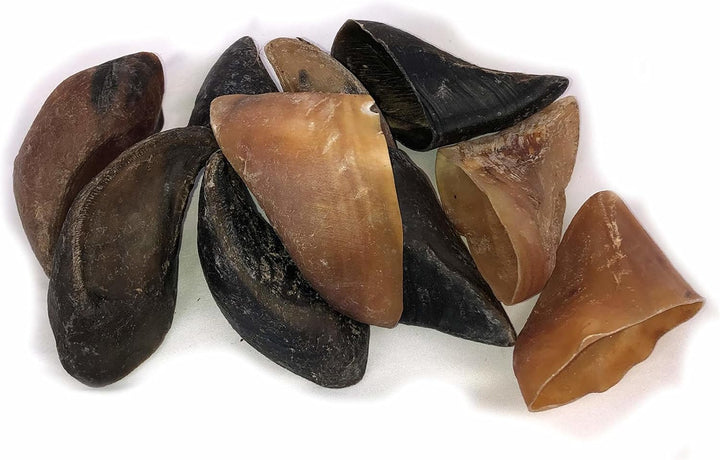 Cow Hooves for Dogs - USA Made Dental Treats & Bully Sticks Alternative - Plain, Rawhide Free - 25 Pack