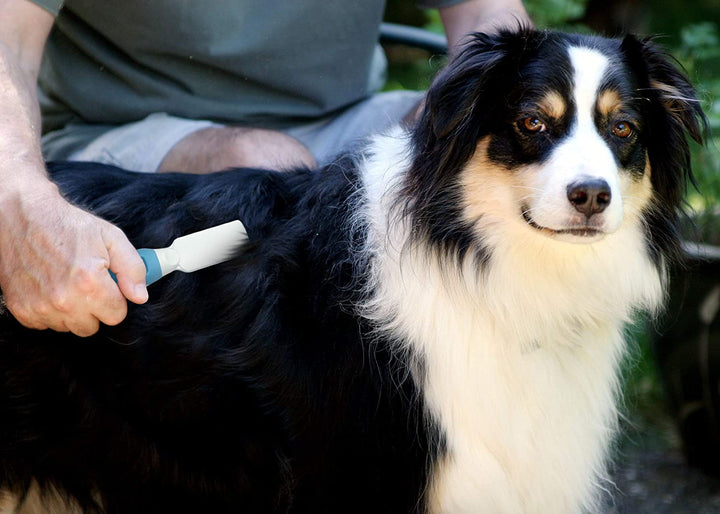 Professional Pet Mat Remover - Dematting Tool for Grooming Cats & Dogs - Removes Matted Fur, Tangles, Knots, Loose Hair & Dirt - Stainless Steel, Gentle Teeth, Soft Comfort Grip Handle,Blue