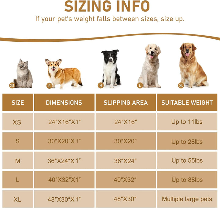 Dog Door Mat for Muddy Paws 30X20, Absorbs Moisture and Dirt Doormat, Non-Slip Washable Quick Dry Chenille Front Door Mat Indoor Entrance, Entryway Carpet for inside Floor, Grey