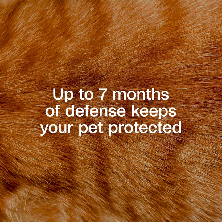 plus Flea & Tick Collar for Cats | Breakaway Collar | 2Pk | 7 Months Protection | Kills & Repels Fleas, Flea Eggs, Flea Larvae and Kills Ticks, Nymphs, and Tick Larvae, White