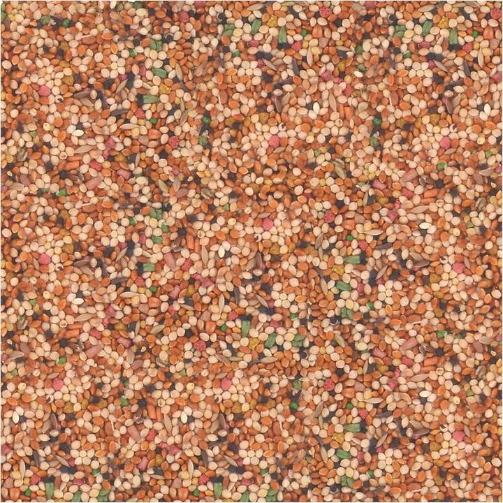 Universal Blend for Small Birds 3 Pounds, Foritified Nutrition