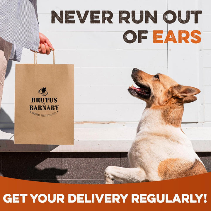 Cow Ears for Dogs – Whole Ears 30 Ct, Thick Cut, Grass-Fed Angus Beef, All-Natural No-Rawhide Dog Treat Alternative