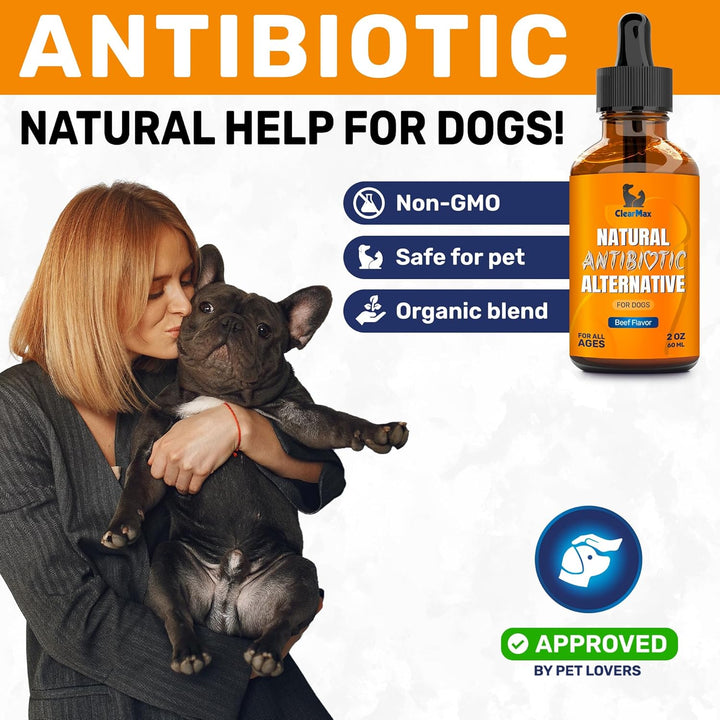 Natural Antibiotics for Dogs for Allergies, Infections, Coughs, Digestive Moments – Dog Antibiotics with Beef Flavor May Support Urination and Breathing – Organic Composition with Cranberry – 2 Oz