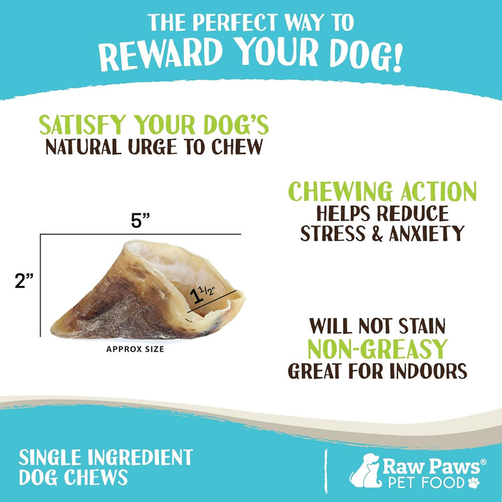 Cow Hooves for Dogs to Chew (10-Count) - Natural Cow Hoofs for Dogs - Made from Free-Range, Grass-Fed Cattle - Safe Rawhide Alternative - Dog Cow Hooves XL - Long-Lasting Cow Hoof Dog Chews