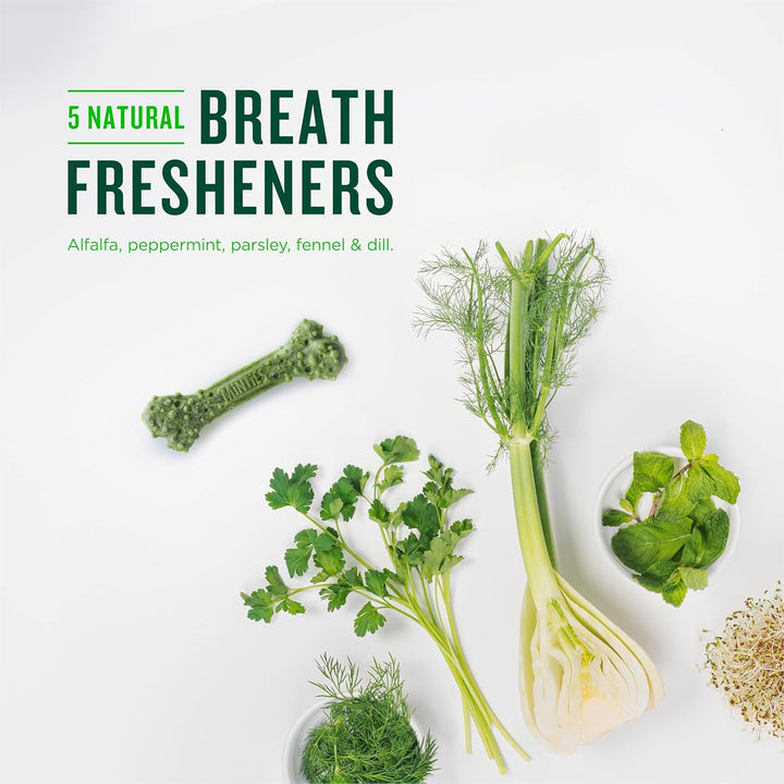 Dental Chews for Dogs, 60 Count, Vet-Recommended Mint-Flavored Treats for Medium Dogs 25-50 Lbs, Bones Clean Teeth, Fight Bad Breath, and Removes Plaque and Tartar