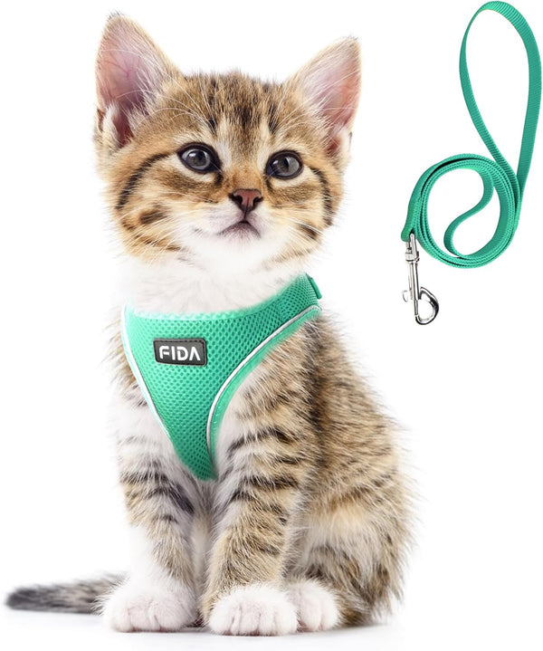 Cat Harness and Leash Set for Walking Kitten and Puppy, Escape Proof Kitten Harness with Breathable Lightweight Soft Mesh, Adjustable Reflective Step-In Design. (XXXS, Green)