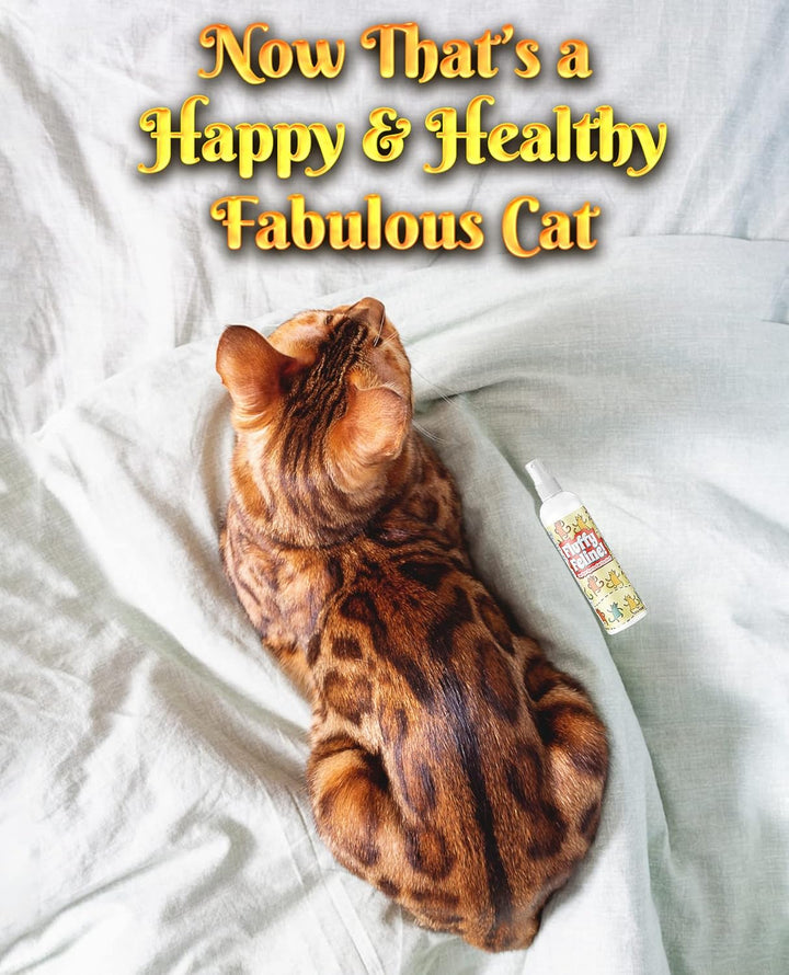 Fluffy Feline Professional Groomer'S Choice for Cat Dandruff Treatment Spray