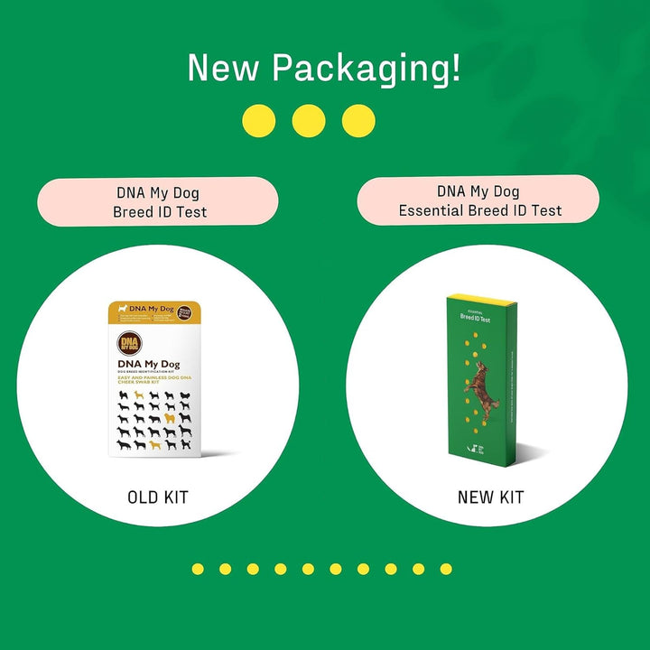 – Trusted & Affordable Breed Identification Test | 350+ Breeds Identified W/ 99%+ Accuracy | Complete Breed Analysis, Personality and Behavior Insights | Easy Cheek Swab, Results in 2 Weeks