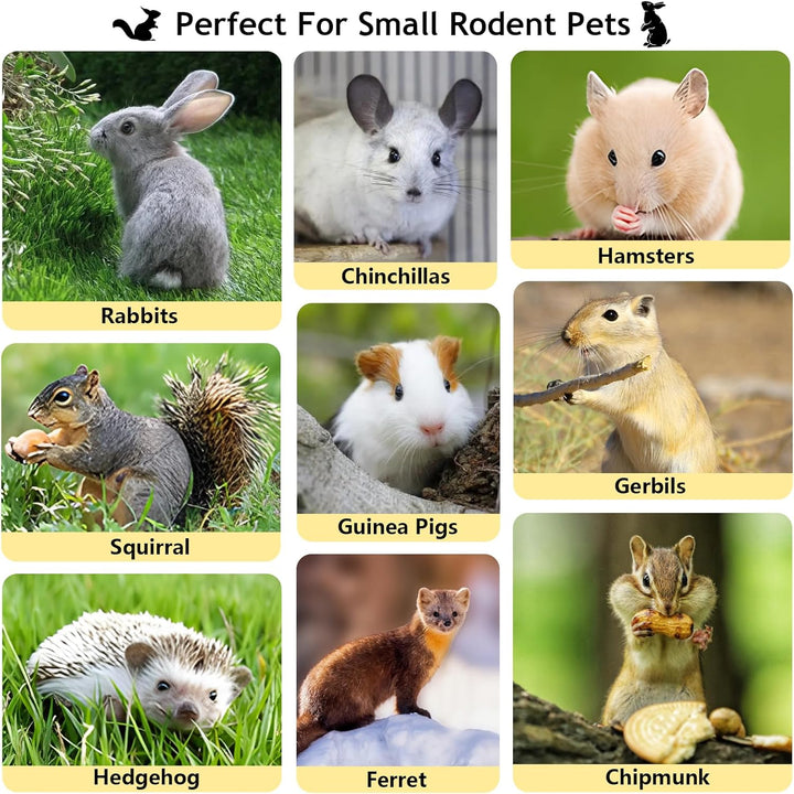 600G Organic Apple Sticks Small Animals Molar Wood Treats Toys for Chinchillas Guinea Pig Rabbits Hamster Gerbil Parrot Bunny Chew Stick Toys, 21.2 OZ