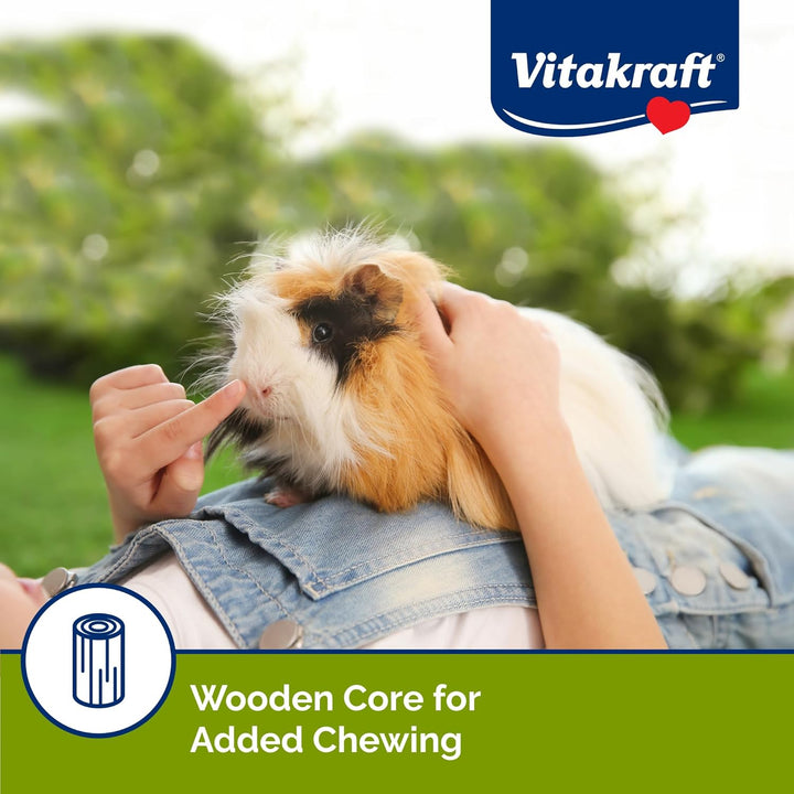 Guinea Pig Fruit & Honey Treat Sticks 2 Pack, 3.5 Ounce