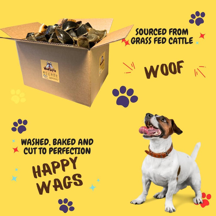 - Cow Hooves for Dogs (50 Count) - Safe Cow Hoof Dog Chews -Fed Cattle - Best Natural Alternative to Rawhide