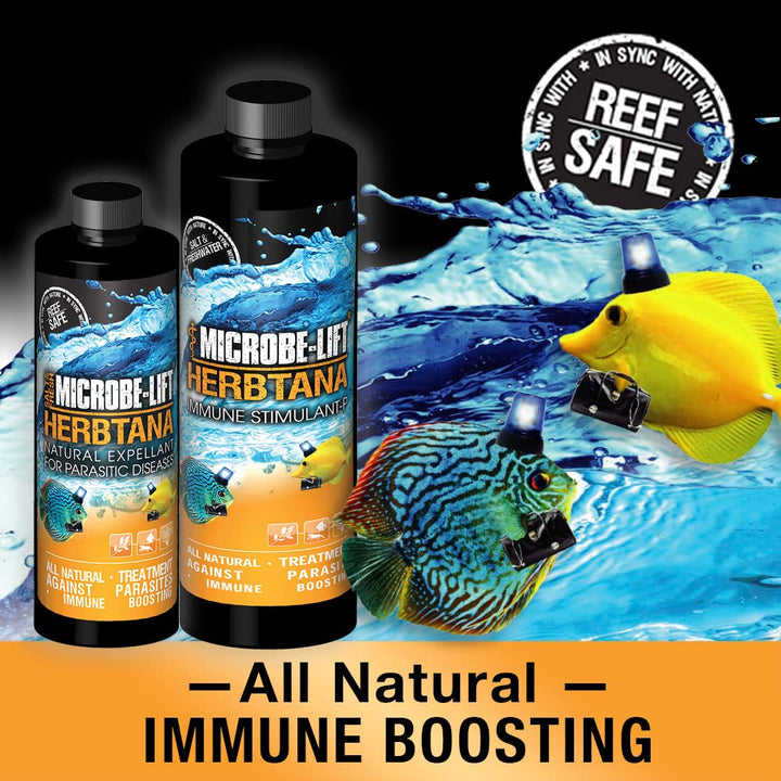 Herbtana Immune Booster and Natural Parasite Remover for Freshwater and Saltwater Home Aquariums and Fish Tanks, 16 Ounces