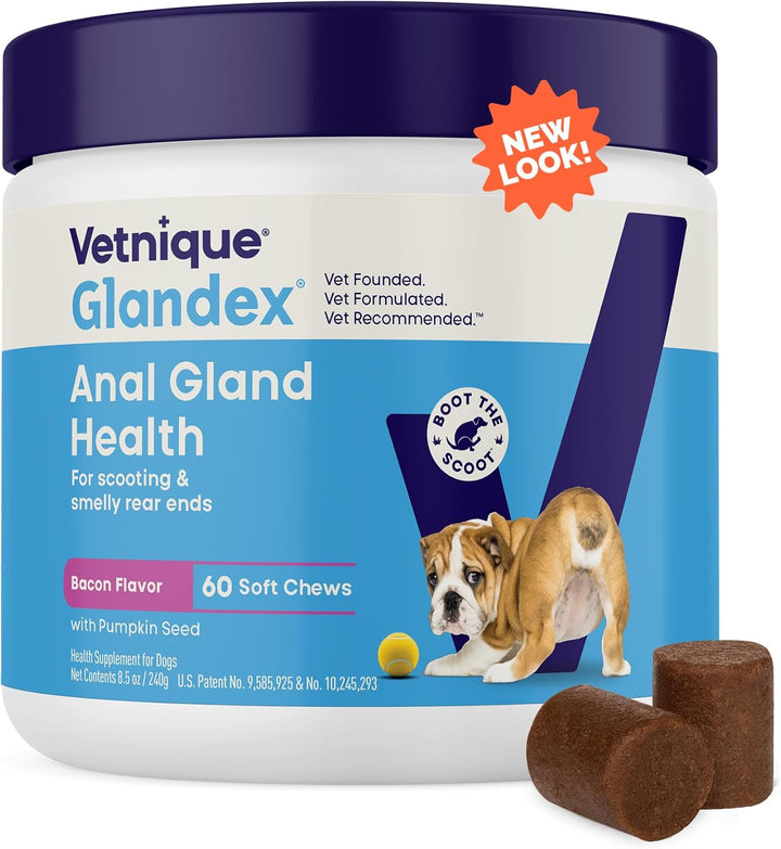Glandex Anal Gland Soft Chew Treats with Pumpkin for Dogs Digestive Enzymes, Probiotics Fiber Supplement for Dogs Boot the Scoot (Peanut Butter Chews, 60 Count)