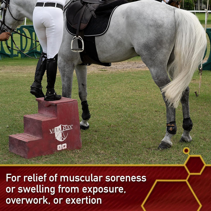 Thermaflex Liniment Gel for Sore Muscles and Joint Relief in Horses 12 Fluid Ounces