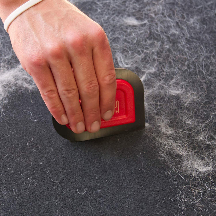 Mini Pet Hair Detailer | Reusable Fur Remover for Car Interior, Carpet, Couch & Furniture