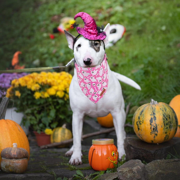 Halloween Dog Bandana, Pink Pumpkin Ghost Pet Scarf, Premium Durable Fabric, Adjustable Fit Female Halloween Bandanas for Medium Large Dogs Pets (Large)