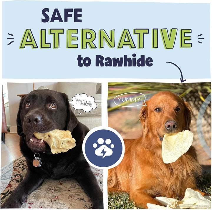 Natural Jumbo Cow Ears for Dogs - Healthy Rawhide Free, Highly Digestible Low Calorie & Long Lasting Dental Chew Treat for Small, Medium, Large Chewers - Pack of 10 - Packaging May Vary