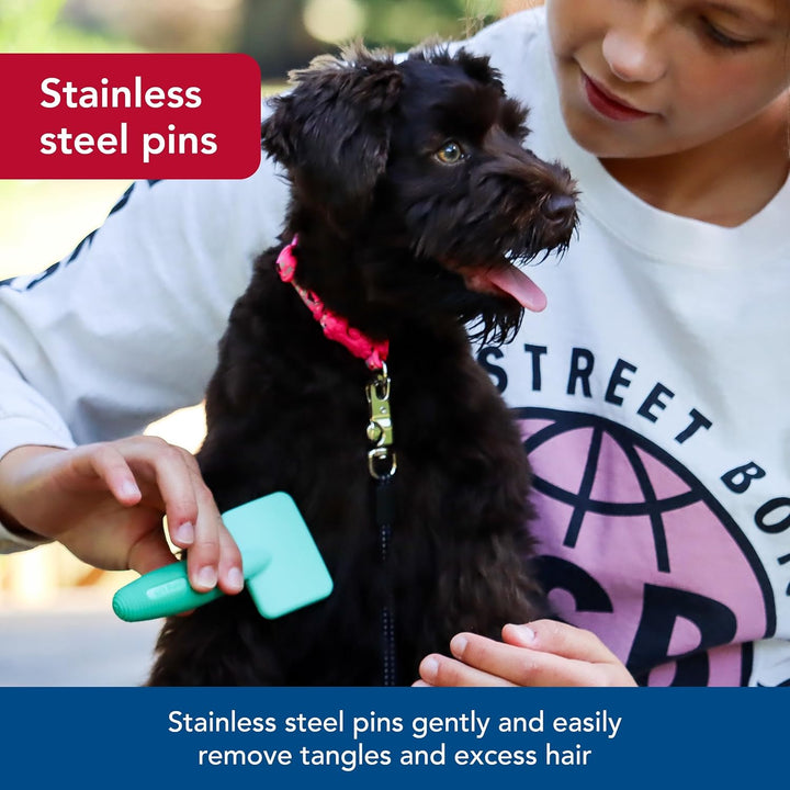 Pet Li'L Pals Dog Slicker Brush with Coated Tips - Dog Grooming Brush for Small Breeds & Puppies - One Size (3.25” X 7.25”)