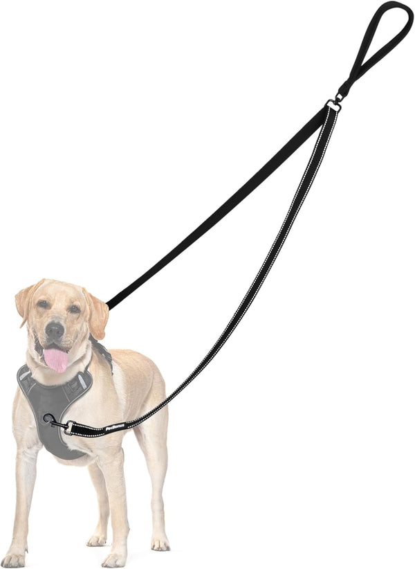 Two Point Control Dog Leash, Works with No Pull Harnesses, No Tangle Training Leashes, Soft Padded and Reflective Walking Lead, Converts to Single Lead for Medium Large Dogs (Black)