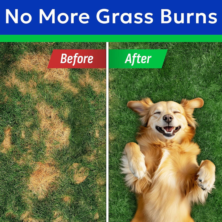 Green Grass Chews - Dog Pee Grass Spot Saver Caused by Dog Urine - Urine Neutralizer for Lawn, Gut Health Probiotics & Enzymes, Lawn Burn from Pee, Grass Burn Spot Chews Rocks