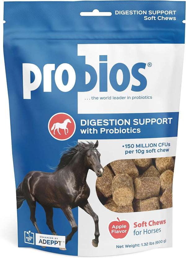 for Horses Soft Chews, Daily Probiotic Supplement for Gut Health, Digestion & Immune Support, Horse Supplies, Apple Flavor, 1.32 Lbs (600 Grams)