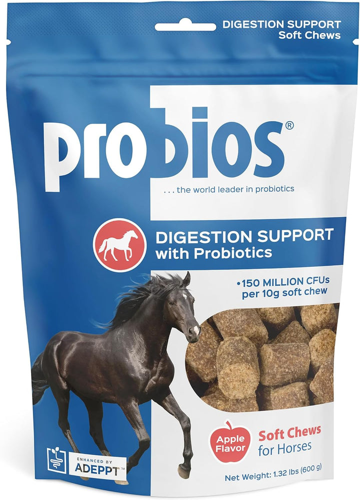 for Horses Soft Chews, Daily Probiotic Supplement for Gut Health, Digestion & Immune Support, Horse Supplies, Apple Flavor, 1.32 Lbs (600 Grams)