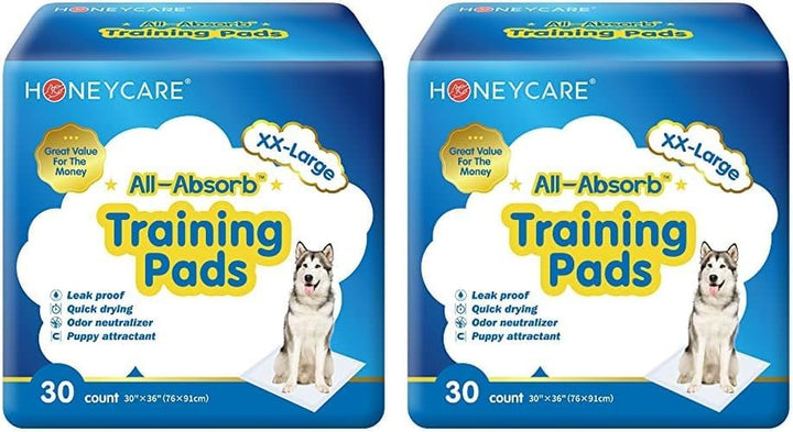 All-Absorb, Small 17.5" X 23.5", 120 Count, Dog and Puppy Training Pads, Ultra Absorbent and Odor Eliminating, Leak-Proof 5-Layer Potty Training Pads with Quick-Dry Surface, Blue, A05