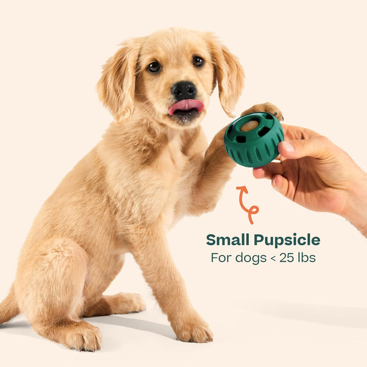 Pupsicle - Long-Lasting Interactive Dog Toy to Keep Your Pup Busy and Distracted - Safe for Dogs - Low-Mess Design - Dog Toys for Medium and Large Dogs 25-75 Lbs
