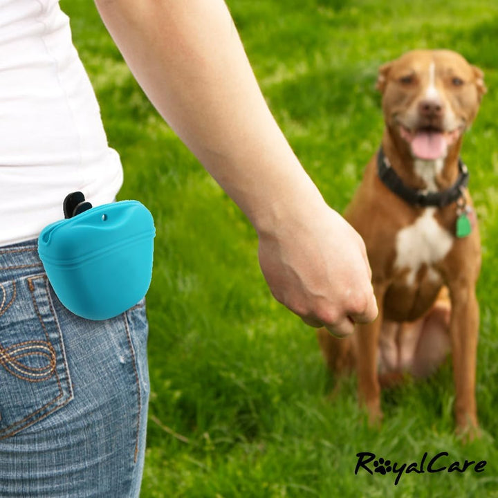 Silicone Dog Treat Pouch-Small Training Bag-Portable Dog Treat Bag for Leash with Magnetic Closure and Waist Clip Airtight Sealed - 2Pieces [US Design Patent]