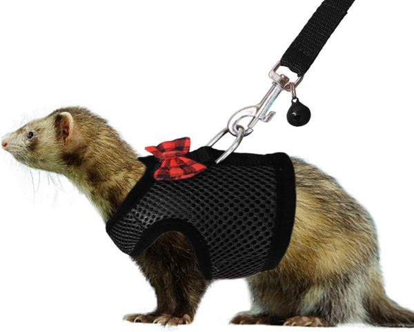 Animal Harness and Leash - Soft Mesh Pet Harness with Safe Bell, No Pull Comfort Padded Vest for Small Pet Black S