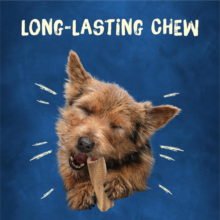 Bone Small Breed Adult Dog Chew Bone Treats, Mini - 20 Ct. Pouch