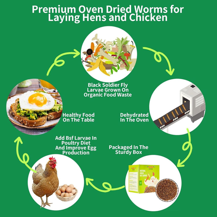 Dried Black Soldier Fly Larvae 10LB Non-Gmo BSF Larvae for Chickens More Calcium than Mealworms High-Protein Chickens Treats for Layer Hens Wild Birds Ducks