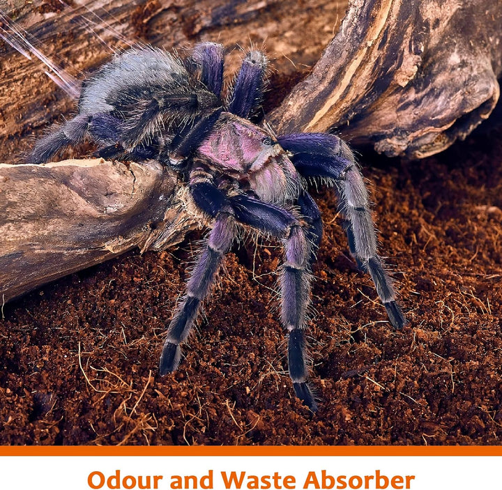 2 Pack Natural Coconut Fiber Substrate for Reptile- Premium Compressed Coconut Husk Terrarium Bedding for Reptile, Tortoise, Frogs, Snakes Hermit Crabs, Burrowing Animals