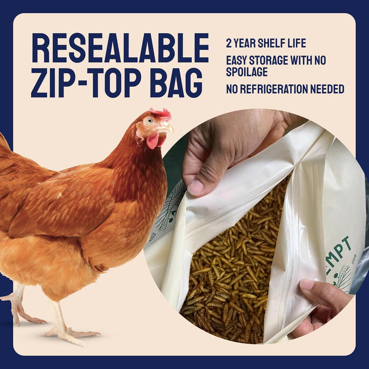 Chicken Feed & Treats - 10 Lb Non-Gmo Bulk Larvae & Grubs - High-Protein Food for Laying Hens & Poultry - Grubs & Worms for Chickens & Bluebird Food - Calcium-Rich Supplement