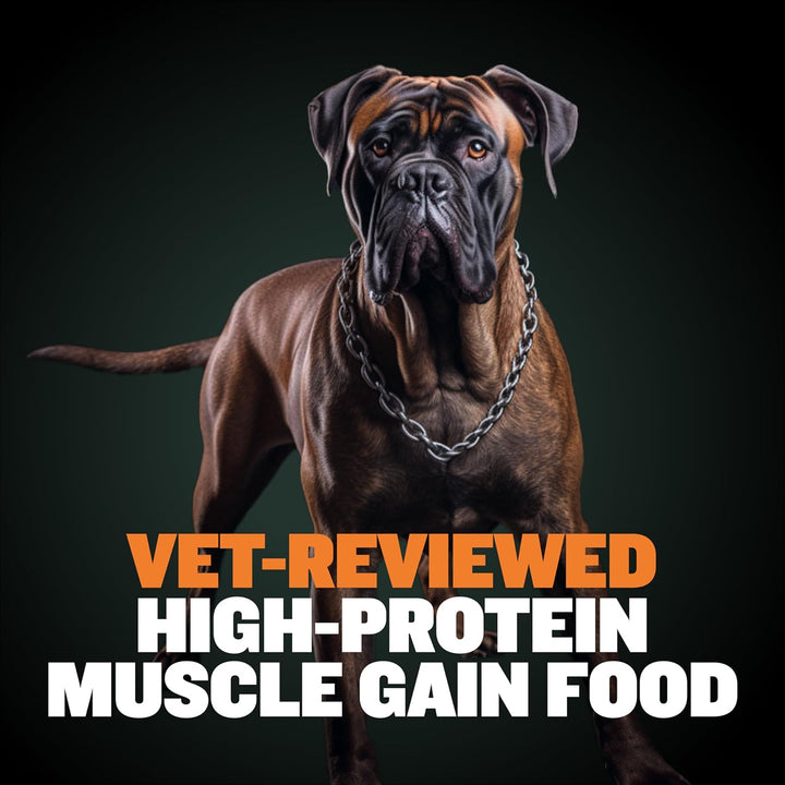 Wet Puppy Food - Instant Fresh Dehydrated High Protein Soft Dog Food with Chicken - Healthy Growth for Small & Large Breed Puppies - 2 Dry Dog Food Pounds (Makes 5.5 Lbs. of Wet Food)