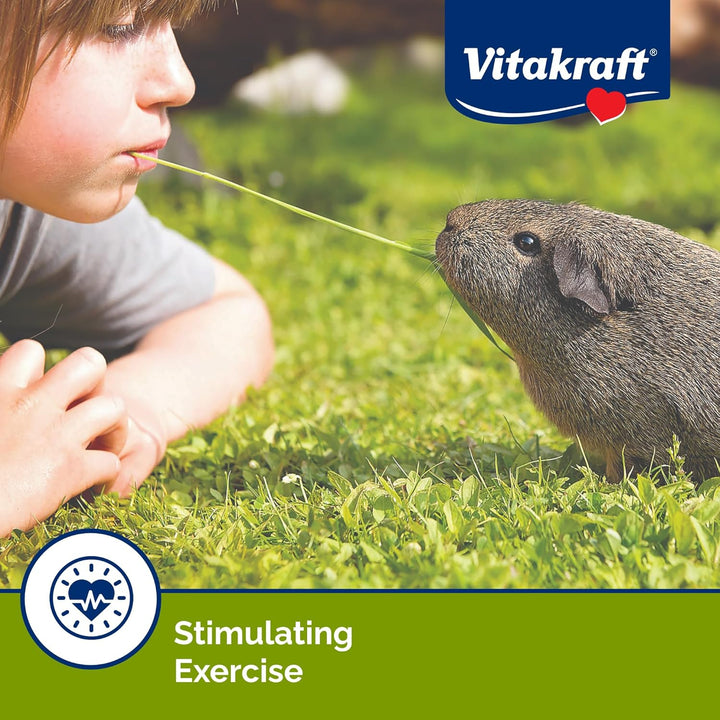 Guinea Pig Fruit & Honey Treat Sticks 2 Pack, 3.5 Ounce