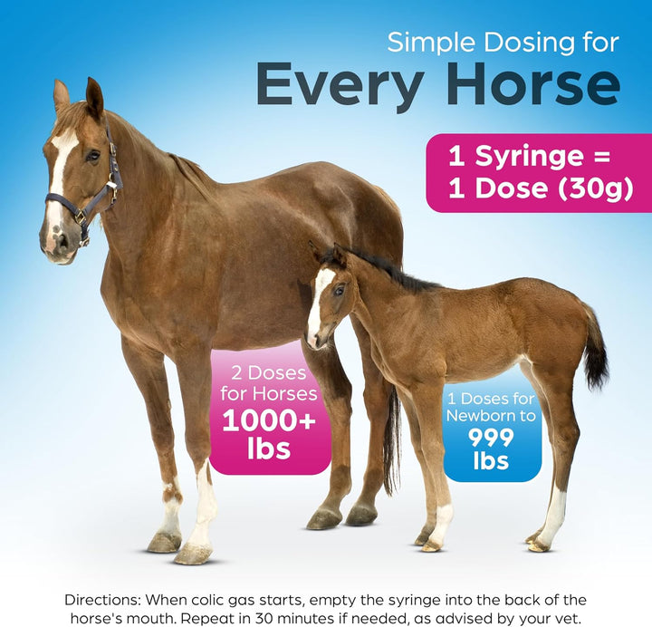 Horse Digestion Supplement to Immediately Cure Intestinal Gas Build-Up (Relieves Colic in 15 Minutes)