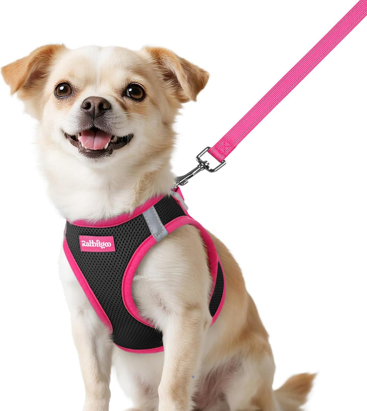 Dog Harness Small Sized and Leash Set, Step-In Breathable Pet Harness, Soft Walking Reflective Puppy Vest for Small Dogs, Black & Rose Red, S