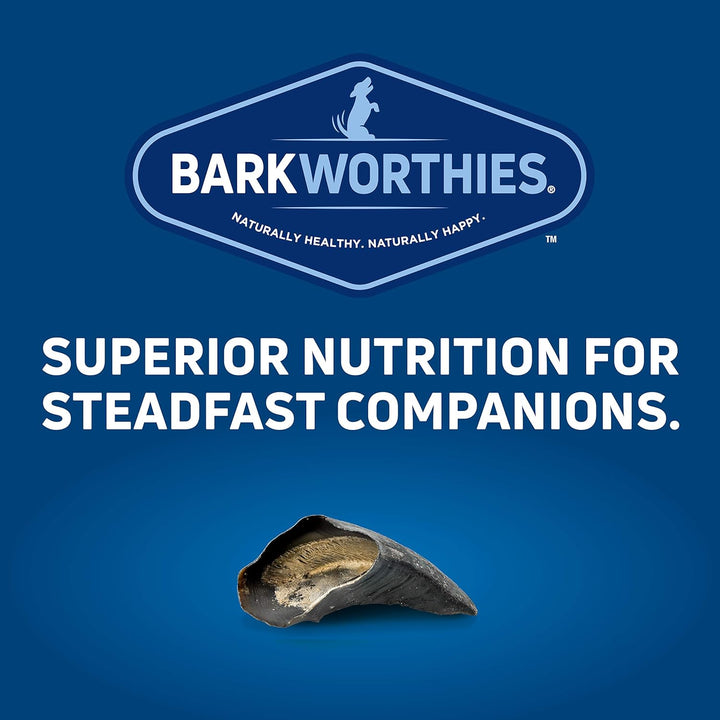 Natural Cow Hooves - 12 Count (Pack of 1) - Single Ingredient, Long-Lasting, Grass-Fed, Promotes Dental Health