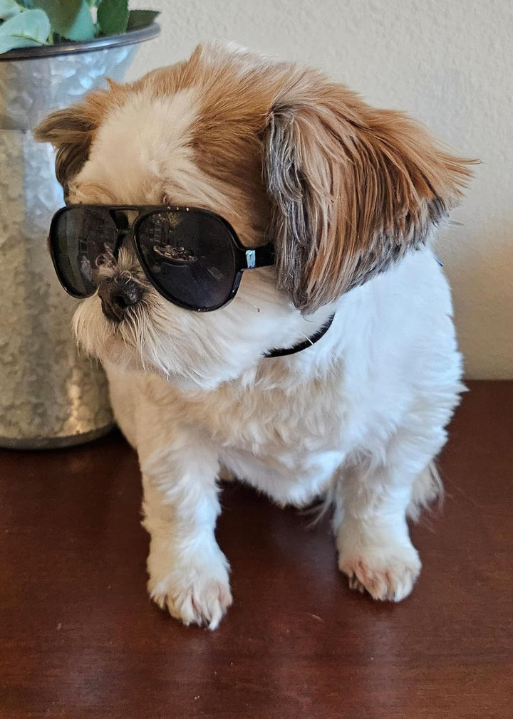 G029 Small Dog Breed up to 15Lbs Cat Pet Aviator Sunglasses Glasses (Black)