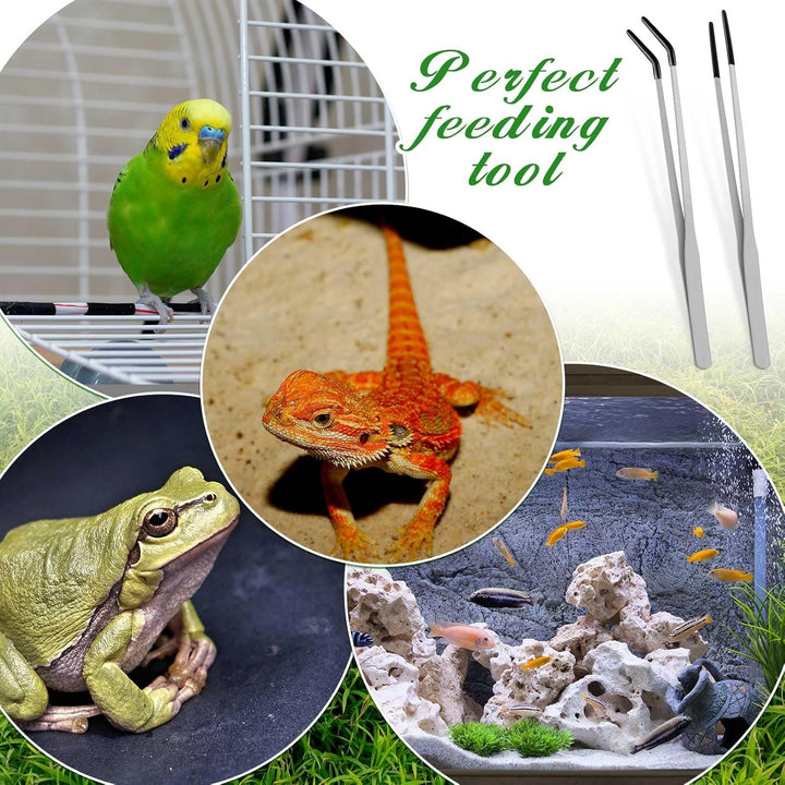 2 Pcs Extra Long Stainless Steel Reptile Feeding Tongs with Rubber Tip Bearded Dragon Aquarium Straight and Curved Long Tweezer Terrarium Feeder Tool for Tank(Silver, 10 Inch, 10.5 Inch)