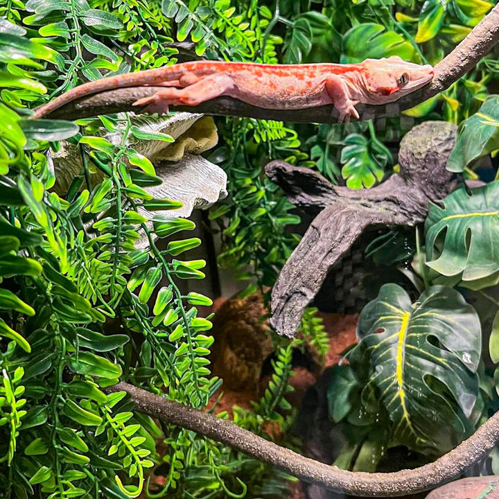 Reptile Vines, Flexible Jungle Climbing Vines Terrarium Plastic Plants and Leaves Tank Accessories Decor for Gecko Snake Lizard Bearded Dragon Hermit Crab Frog