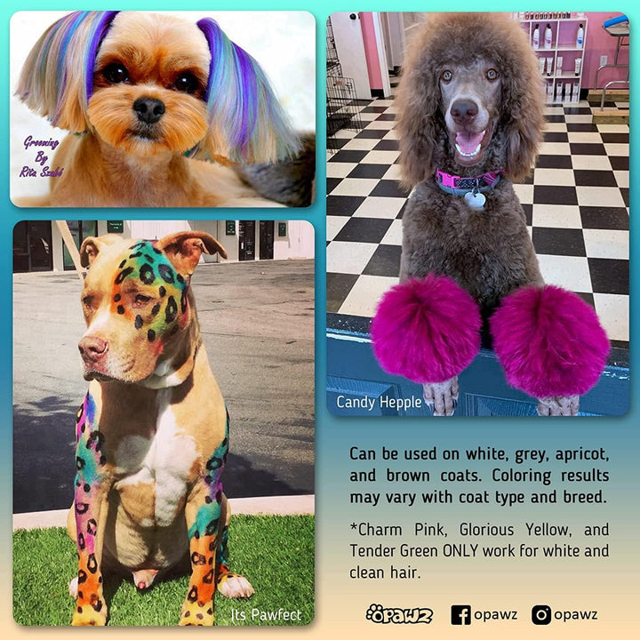 Permanent Dog Hair Dye, Pet Hair Dye Safely Used by Grooming Salons for a Decade, Pet Safe Dye Lasts over 20 Washes, Bright Color for Dogs and Horses (Adrian Pink)