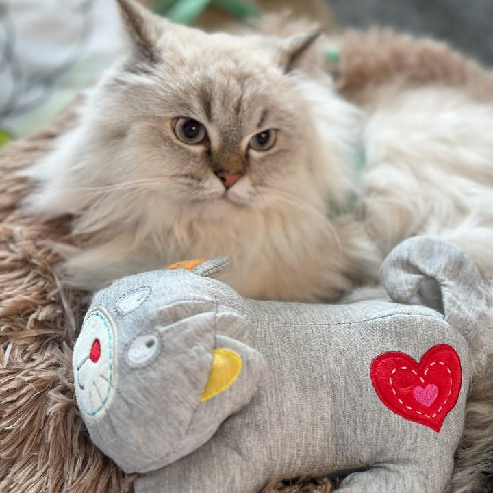 Heartbeat Cat Calming Toy Heartbeat Soothing Kitty Toys Stuffed Plush Warm Toys for Cats Comfort Kitty Stress Relief and Sleep Aid Toy