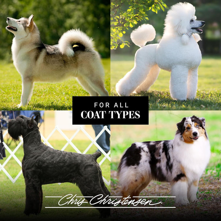 Smart Scents Brooklynn'S Sweet & Sassy Grooming Cologne, Groom like a Professional, Long Lasting, Designer Fragrances, 16 Oz