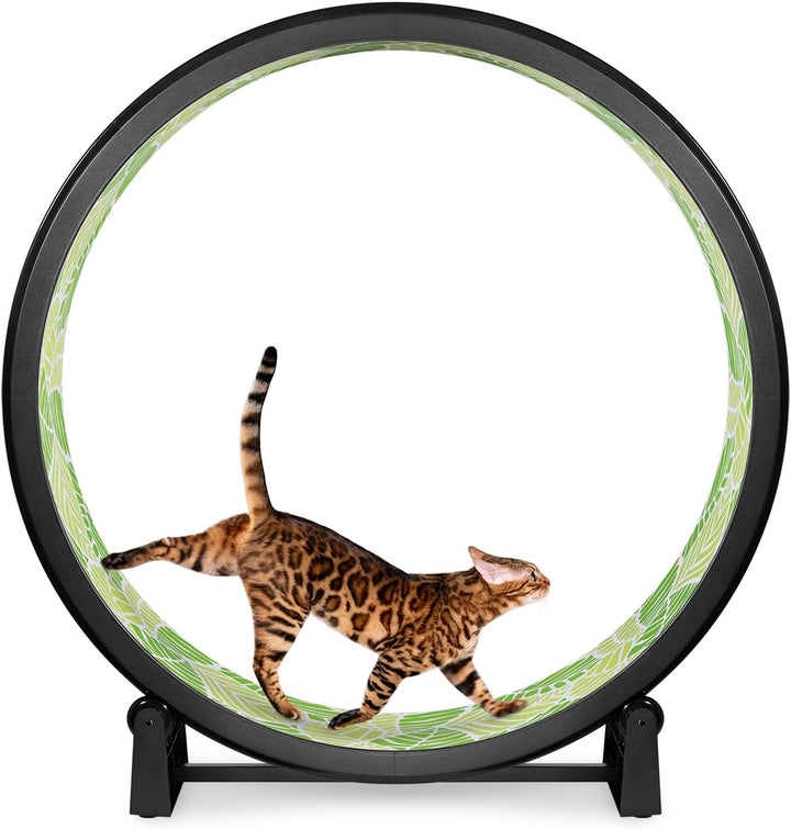 - Cat Exercise Wheel - Gen. 7 - Safe 48" Diameter - Made in the USA - Black Wheel with Gray Felt Traction Pads and Solid Black Inline Wheels