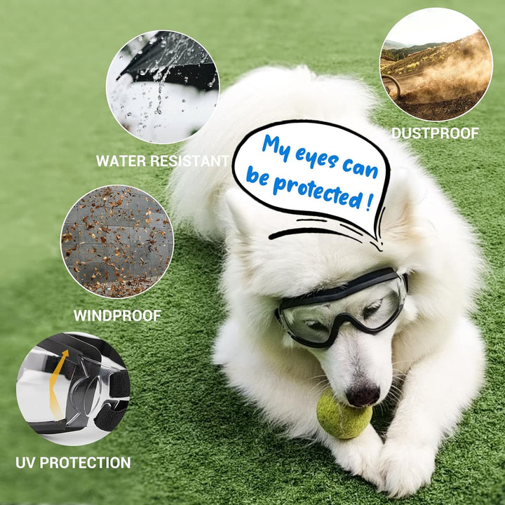 Dog Sunglasses Medium to Large Dog UV Transparent Goggles Windproof Anti-Dust Snowproof Pet Glasses with Elastic Straps, Clear