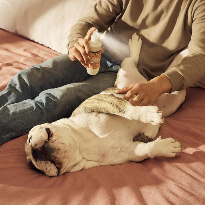 Clean Day Dog Deodorizing Spray, White Peach Scent, 8Oz