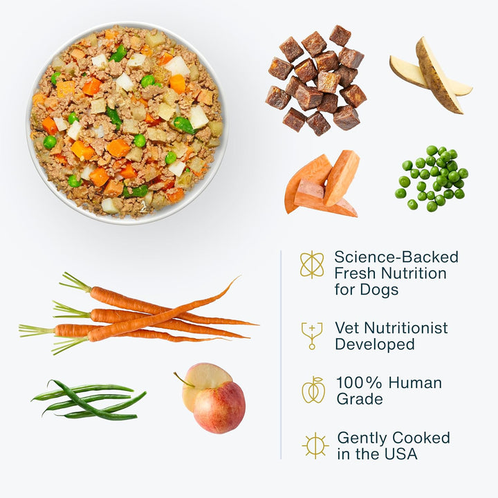 Frozen Fresh Dog Food, Complete Meal or Topper, Beef & Russet Potato Human Grade Recipe, 18 Oz (Pack of 7)